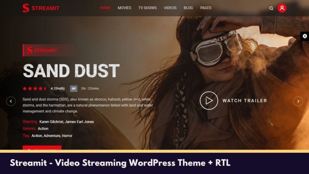 Streamit - Video Streaming WordPress Theme + RTL